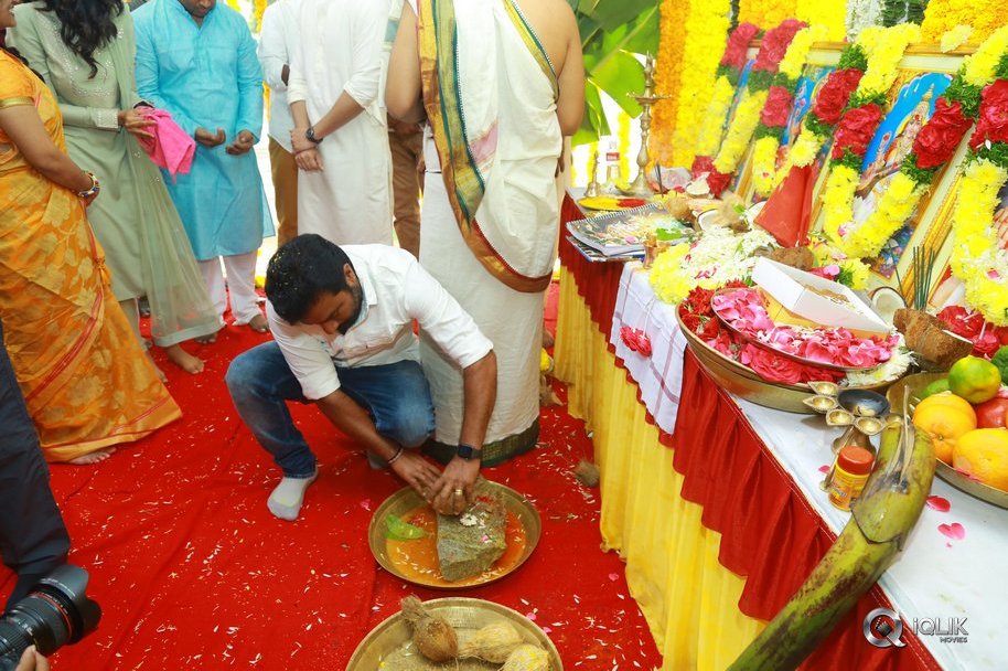 Ichata-Vaahanamulu-Nilupa-Raadhu-Movie-Opening